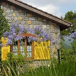 Fior Di Lavanda *