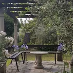 Fior Di Lavanda * Cisano sul Neva