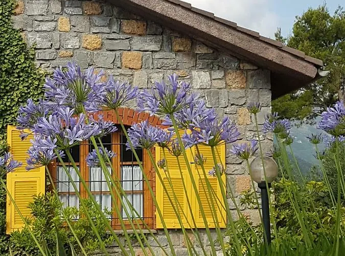 Fior Di Lavanda *
