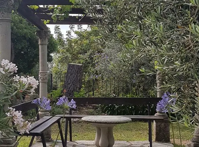 Fior Di Lavanda * Cisano sul Neva