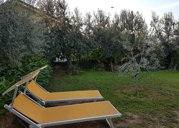 Fior Di Lavanda *