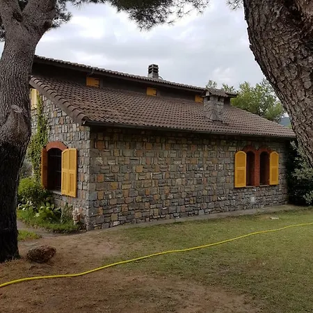 Fior Di Lavanda