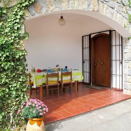 Fior Di Lavanda Cisano sul Neva