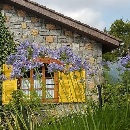 Fior Di Lavanda *