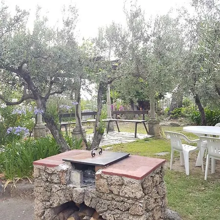 Fior Di Lavanda * Cisano sul Neva