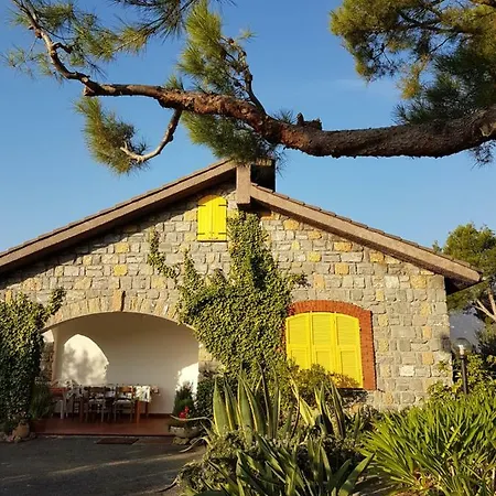 Fior Di Lavanda * Cisano sul Neva