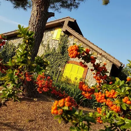 Fior Di Lavanda * Cisano sul Neva